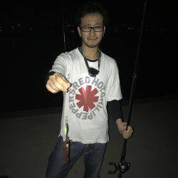 キャップテンイカ