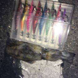 風があるけど出動