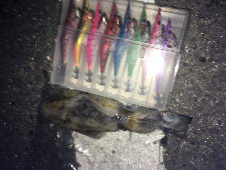 風があるけど出動