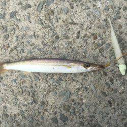 ライトゲームして来ました。