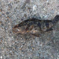 音漏れフィッシング