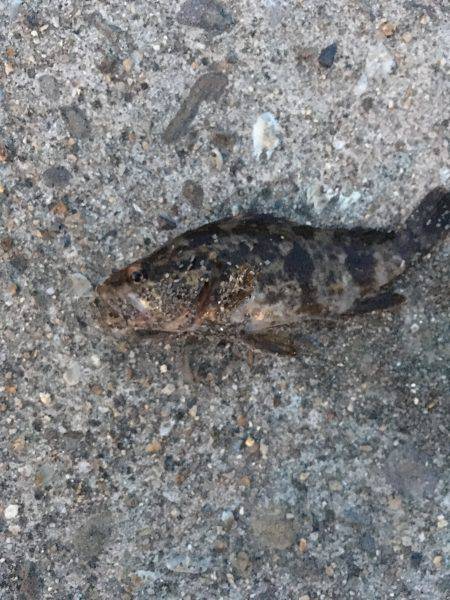 音漏れフィッシング