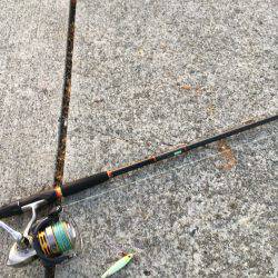 初、淡路島釣り早朝のみ太刀魚の反応あり