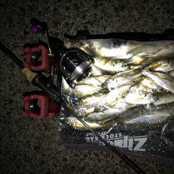 アジング釣行記