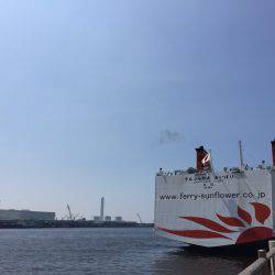 朝からコスモ夕方まで〜✌️