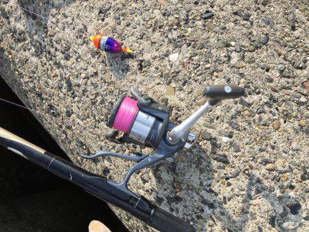 フカセ釣り、グレ&チヌ