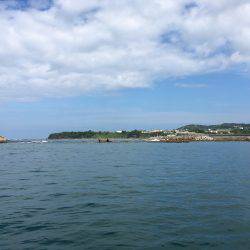 真夏のエギング