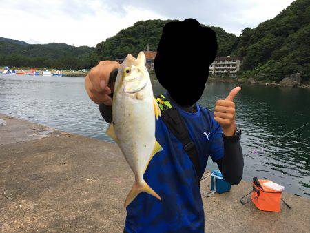 ショアジギング＆ロックフィシュ