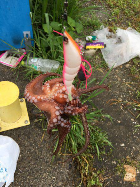 休日の早朝に♪