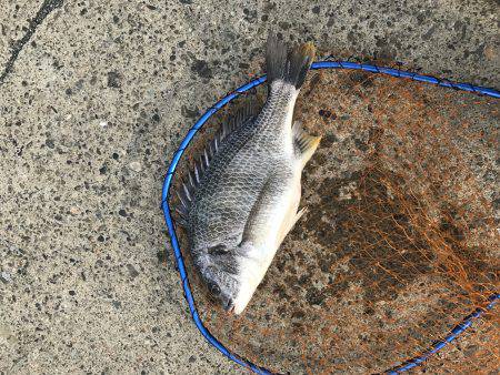 50UPキタ〜〜╭( ･ㅂ･)و ̑̑ ｸ…