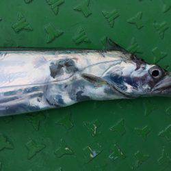 オフショアゲーム