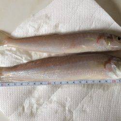 浜から投げキス