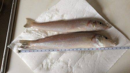 浜から投げキス