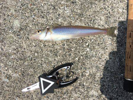 やってみるもんだね