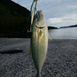 シーバッシング 穴釣り