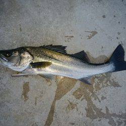 ロックとトップ