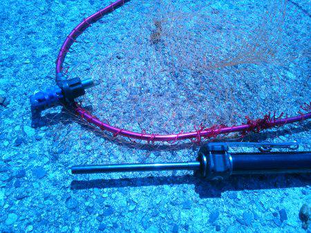 甲子園浜でガンクロゲーム