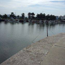 もう少しで五目釣り