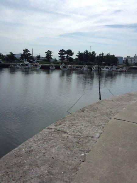 もう少しで五目釣り