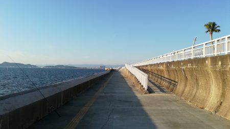 アイゴ釣れました！