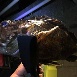 南港コスモスクエア