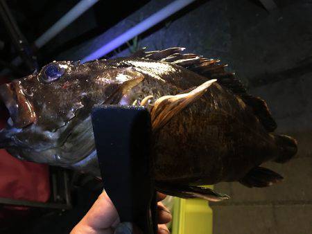 南港コスモスクエア