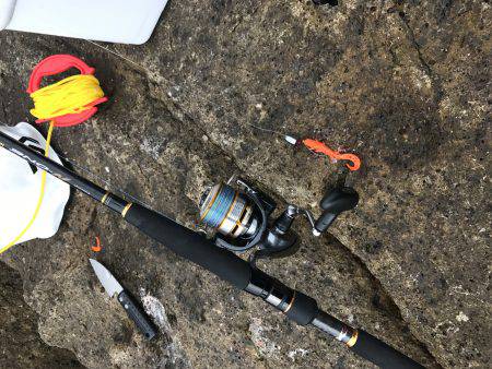 沖磯ロックフィッシュゲーム