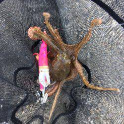 デイオクトパッシング2