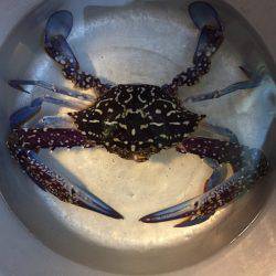 まさかの〇〇？