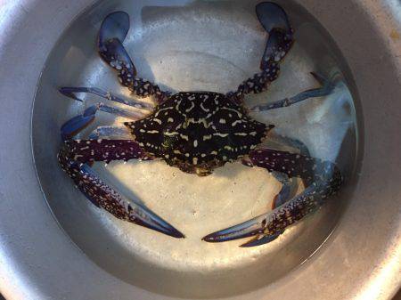 まさかの〇〇？