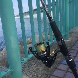 メタルマルカマス