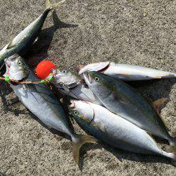 ツバスラッシュ