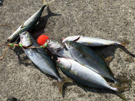 ツバスラッシュ