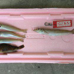 キス釣りのはずが全然釣れず..」