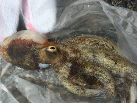 連敗ストップへ