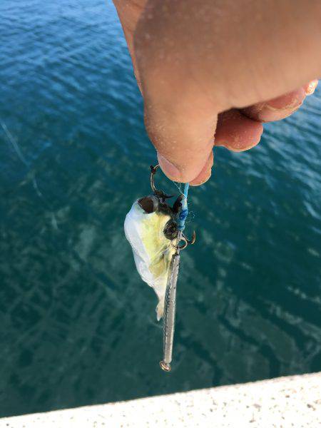 ランガン＆サビキ