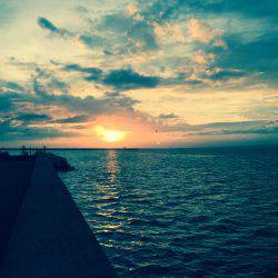 朝マズメ、アコウ