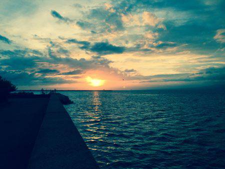 朝マズメ、アコウ