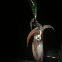 台風が来る前に