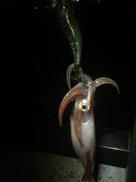 台風が来る前に