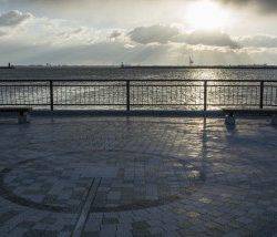 テンヤ一人勝ち