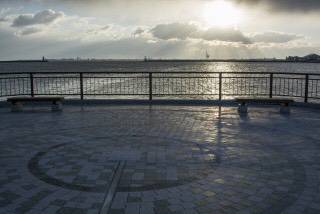 テンヤ一人勝ち