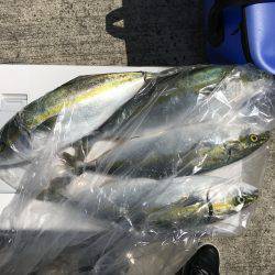 オフショア2回目!