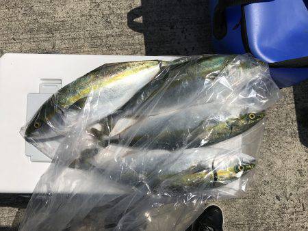 オフショア2回目!