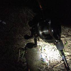 スリル満点の夜遊び