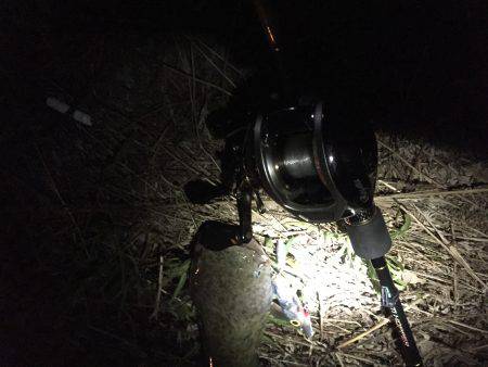 スリル満点の夜遊び