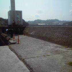 グレ、アイゴ、豆アジ他