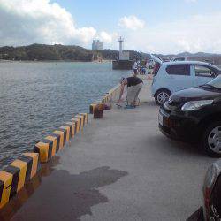 豆アジとワタリガニ