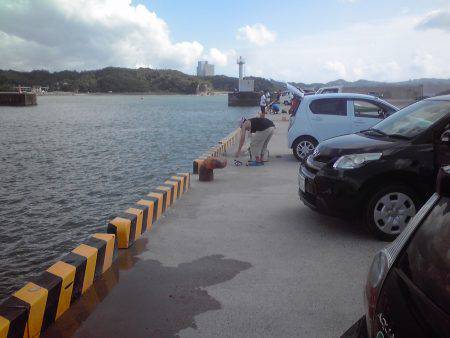 豆アジとワタリガニ