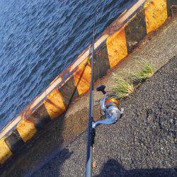 久しぶりの釣行